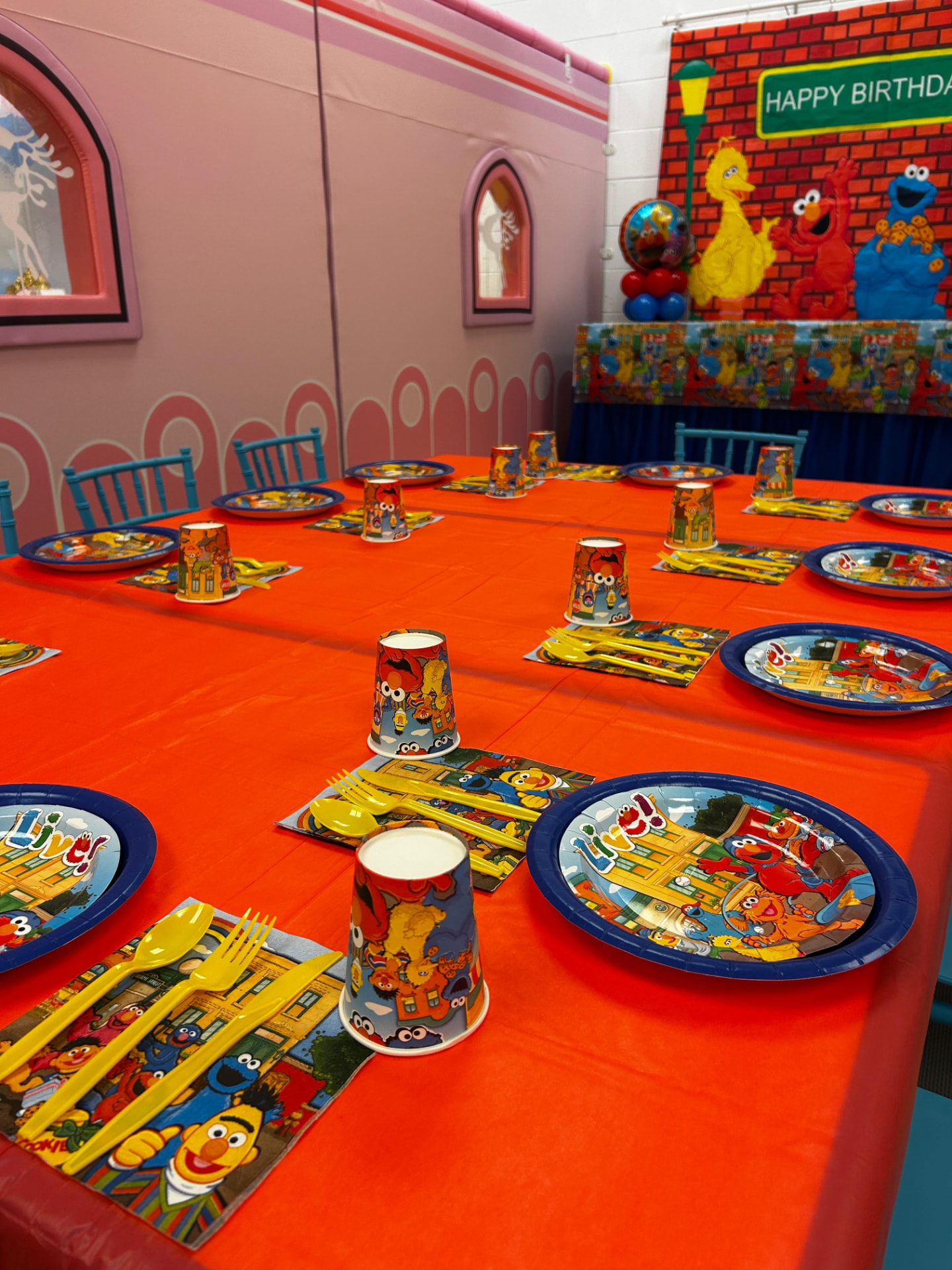 Sesame Street party photo 3