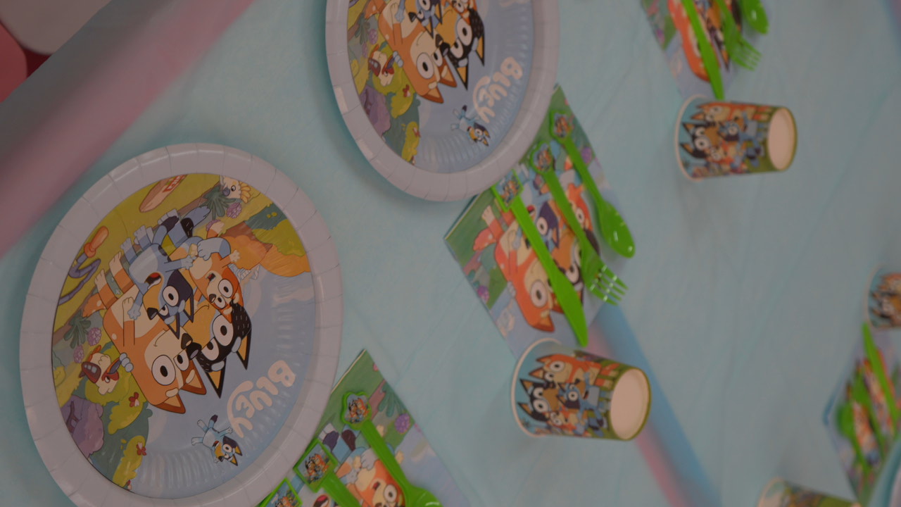 Bluey party photo 5
