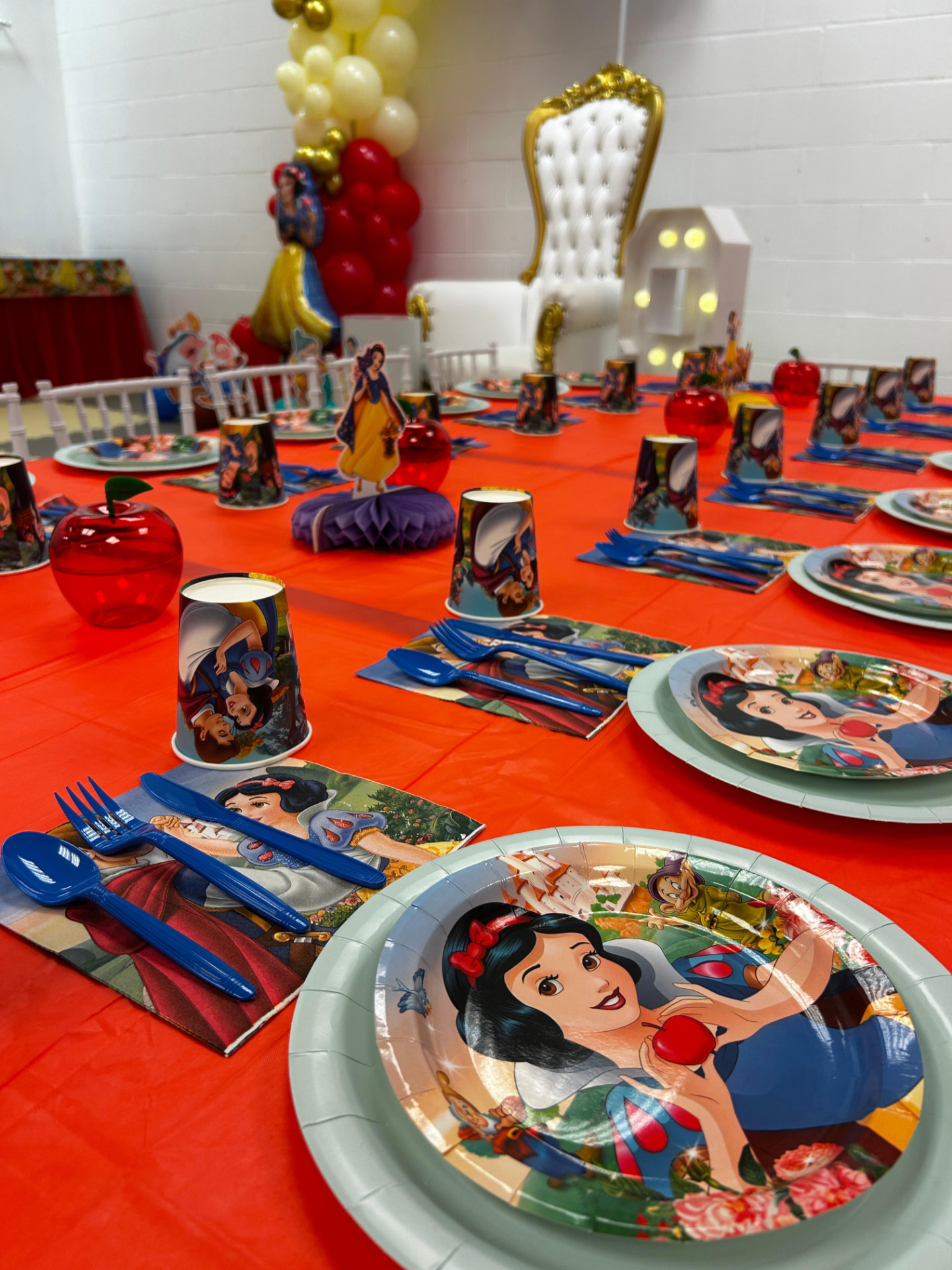 Snow White party photo 5