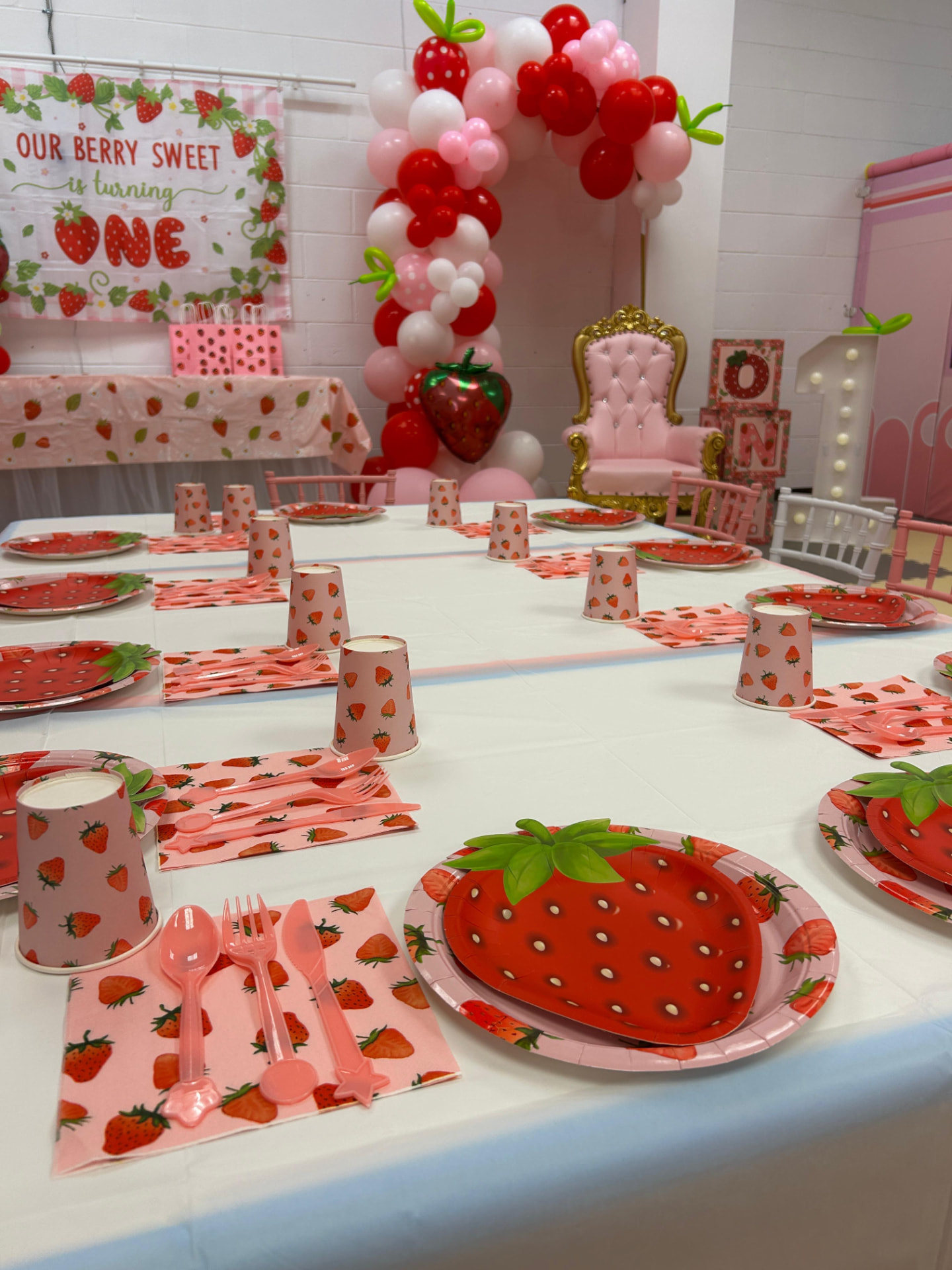 Berry Sweet One party photo 2