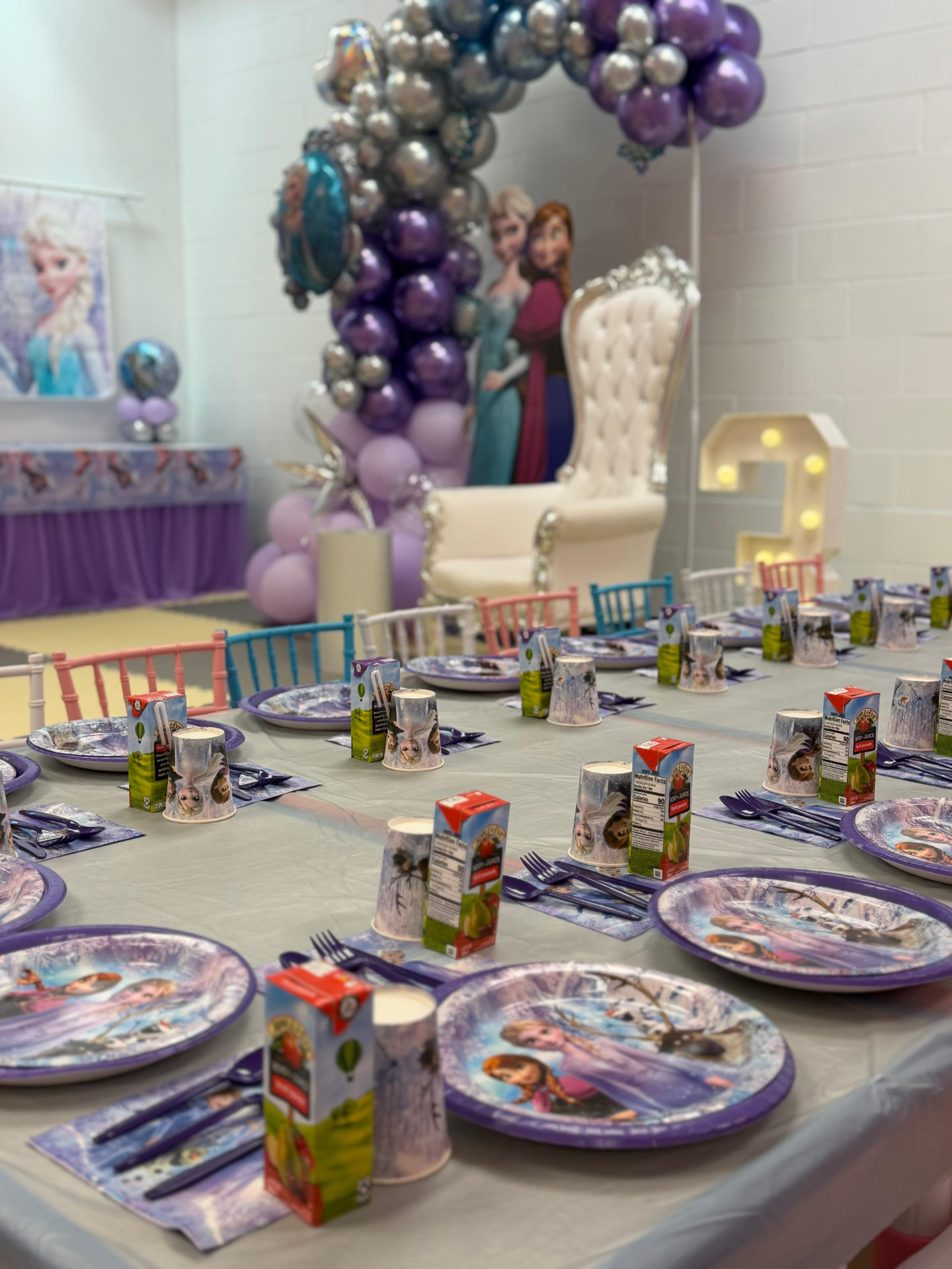 Frozen party photo 3