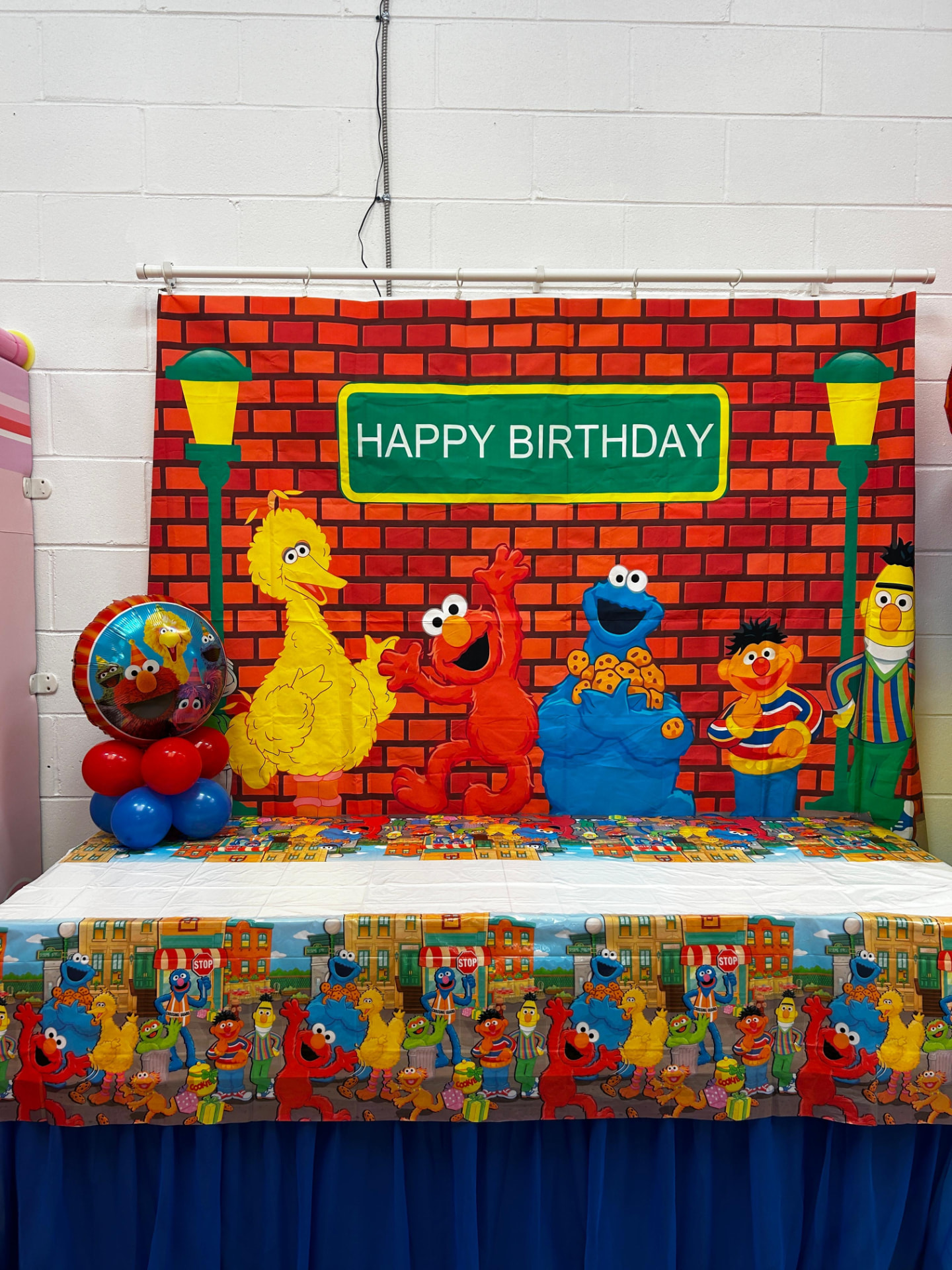 Sesame Street party photo 4