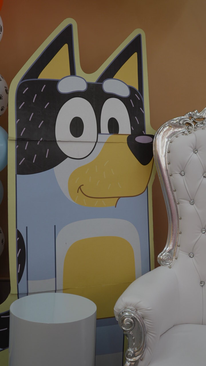 Bluey party photo 6