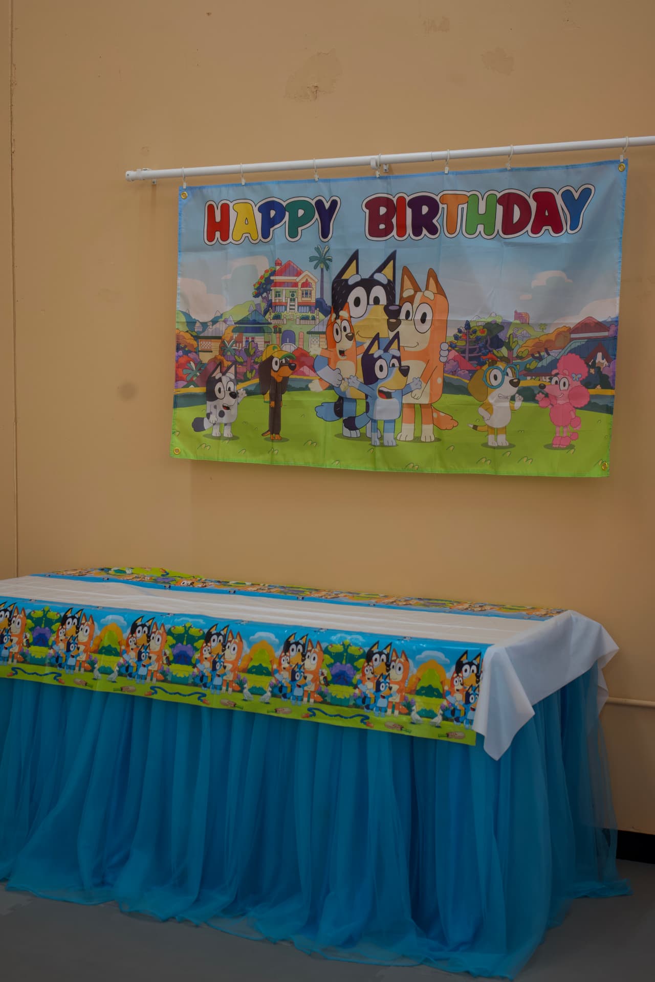 Bluey party photo 4