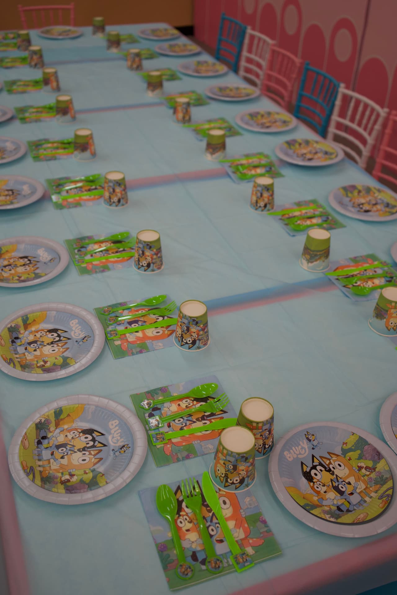 Bluey party photo 3