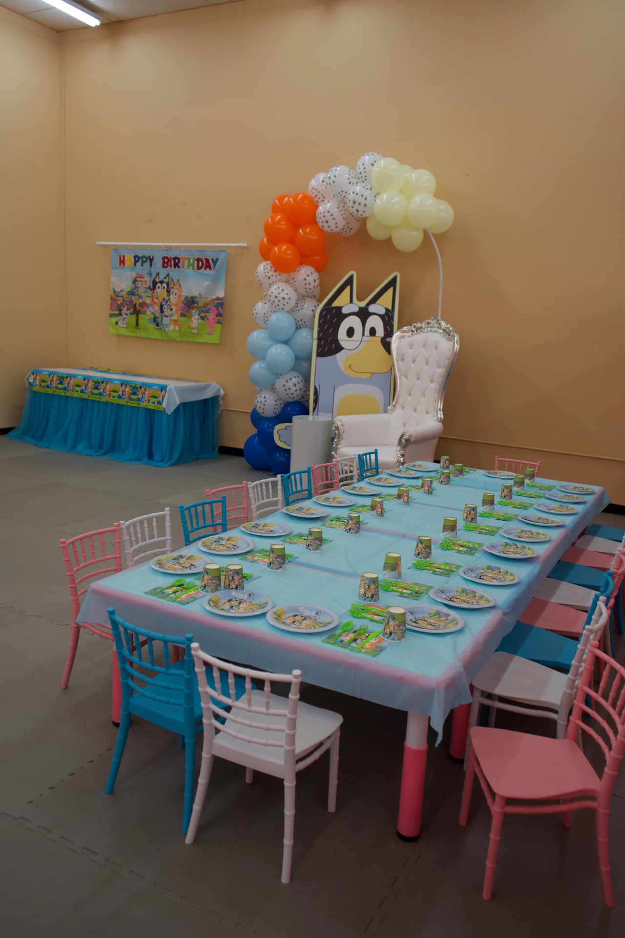 Bluey party photo 2