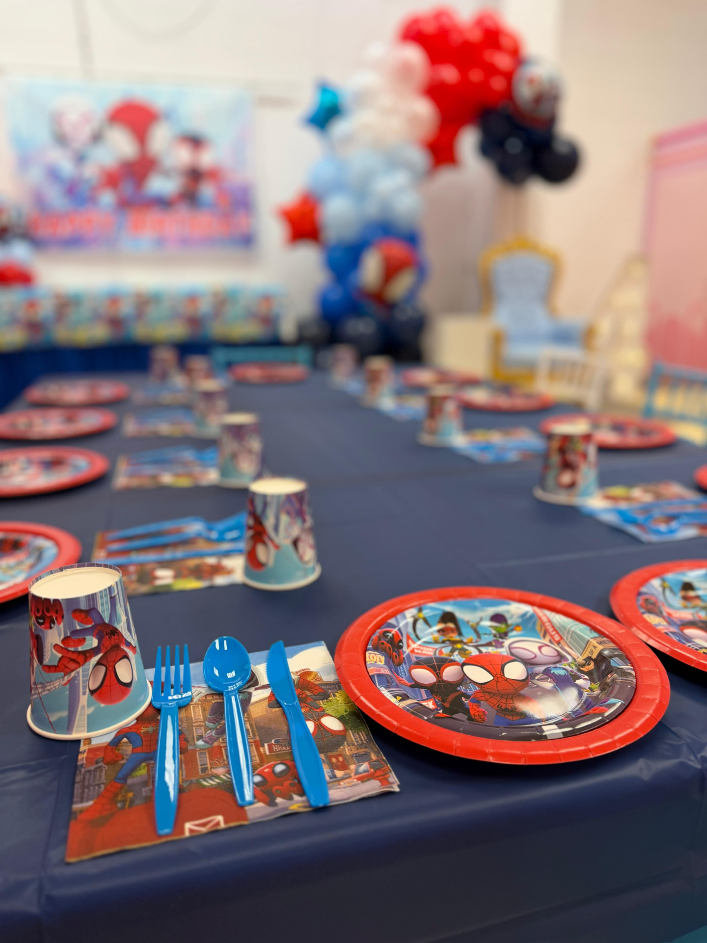 Spider-Man party photo 4